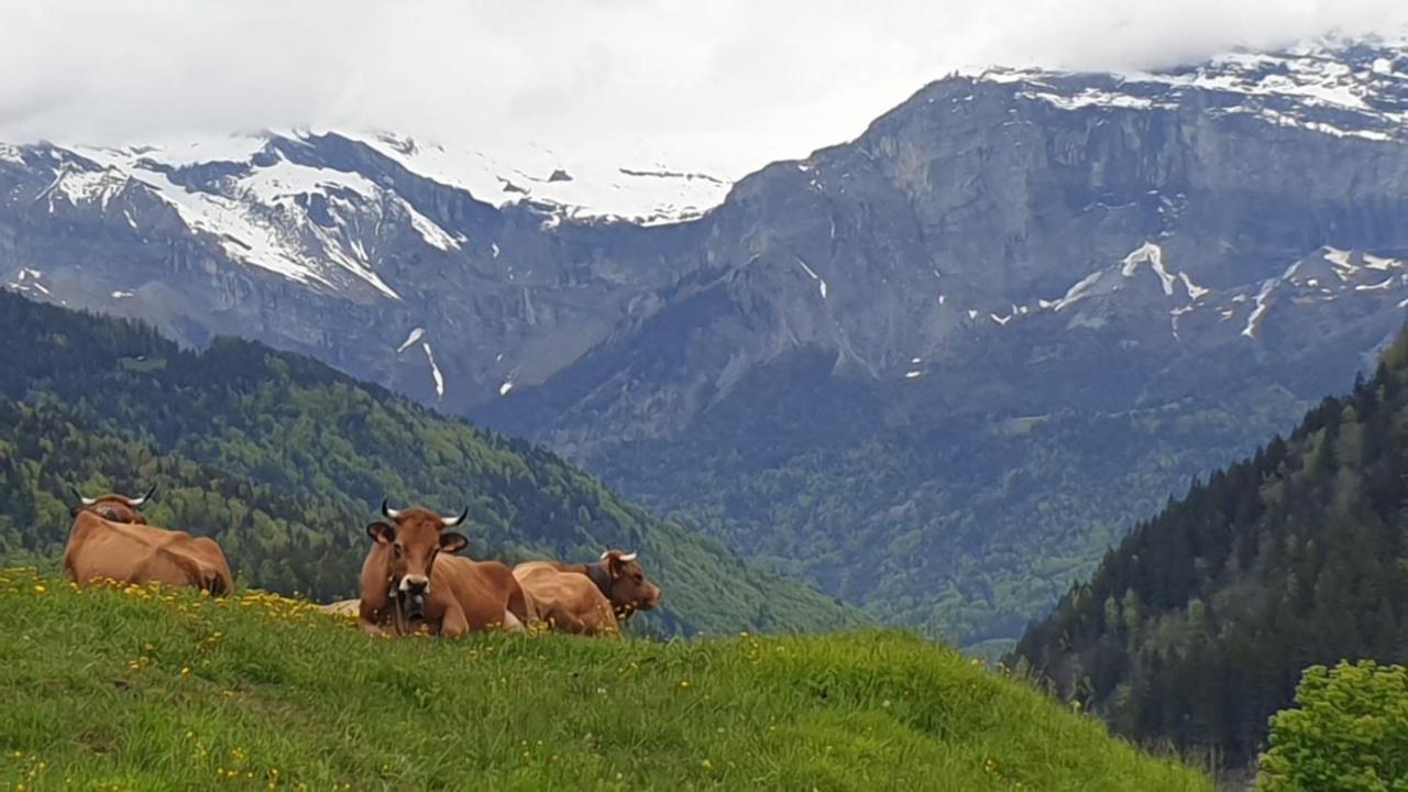 생제르베레뱅 Belle Vue De St Gervais 아파트 외부 사진